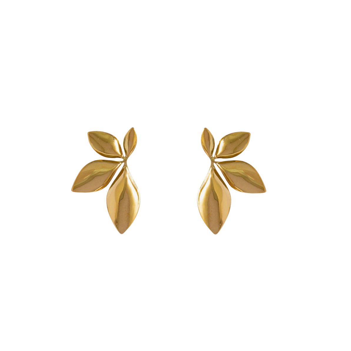 Boucles Eva